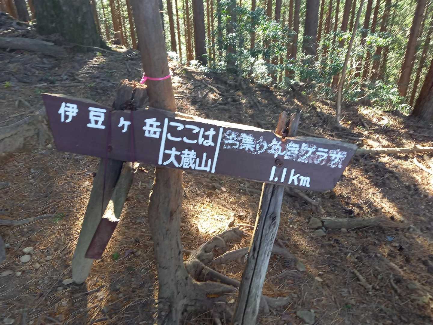 正丸駅-伊豆ヶ岳登山口-伊豆ヶ岳-長岩峠-伊豆ヶ岳登山口 周回コースの写真
