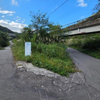 右は工事通行止めです！⚠️歩行者も❌
土樽駅は左から行けます！
