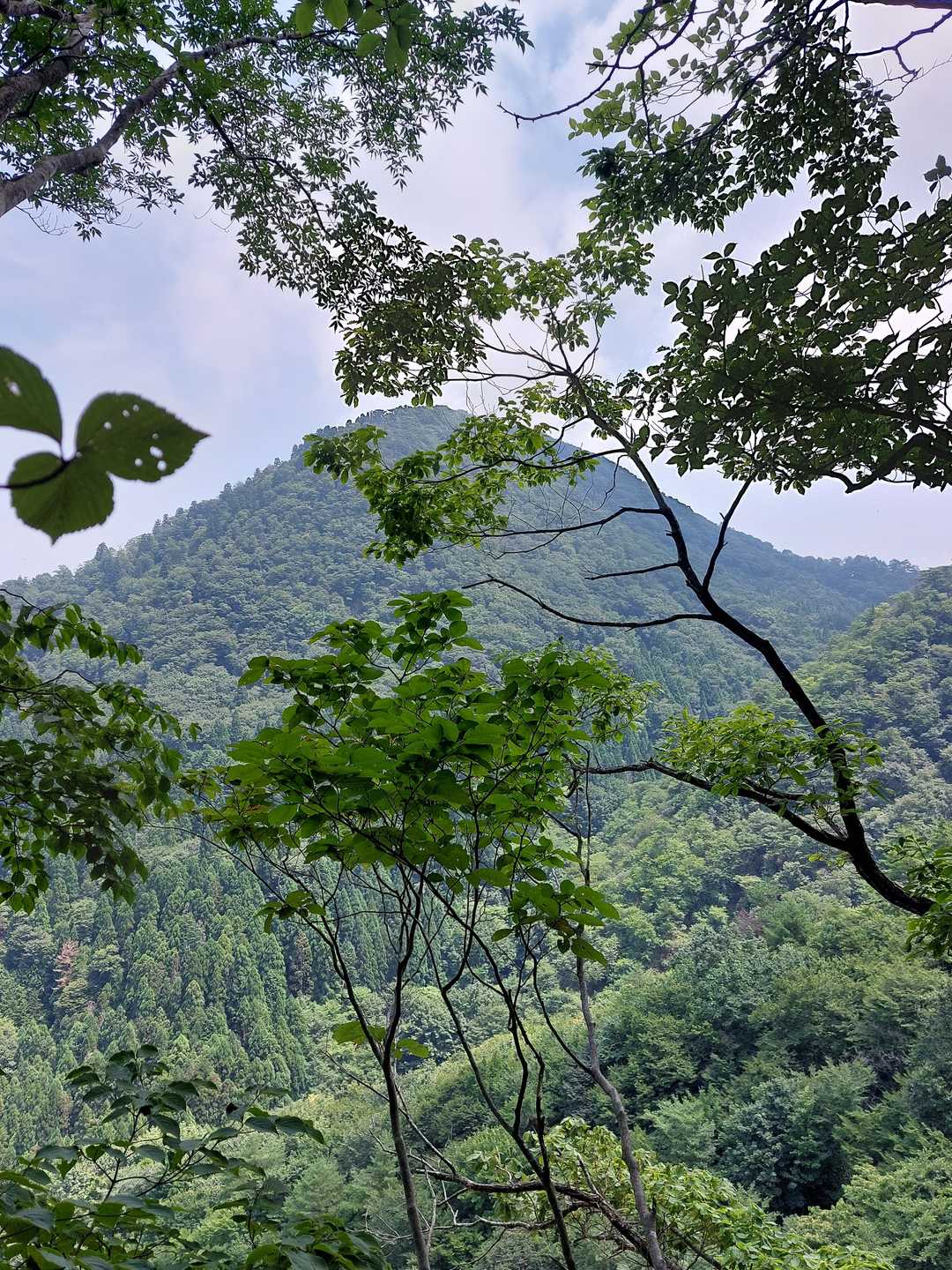 今登って来た多田ヶ岳