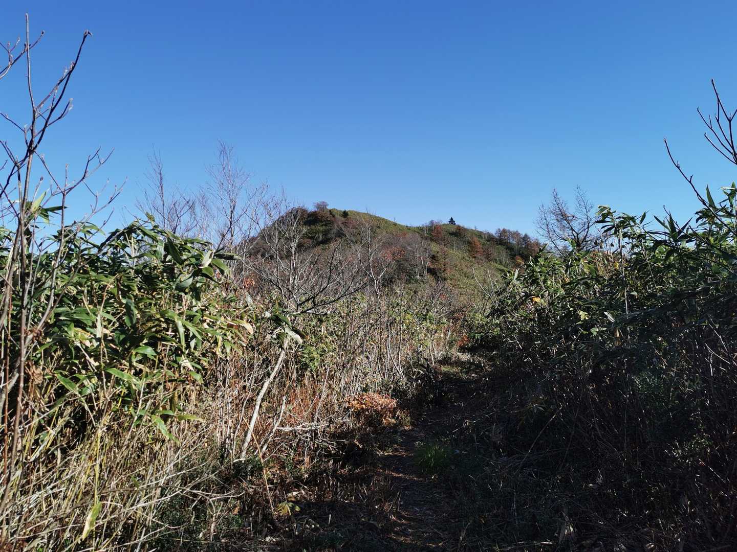 目指すお山が見えてきた〜🤠💦