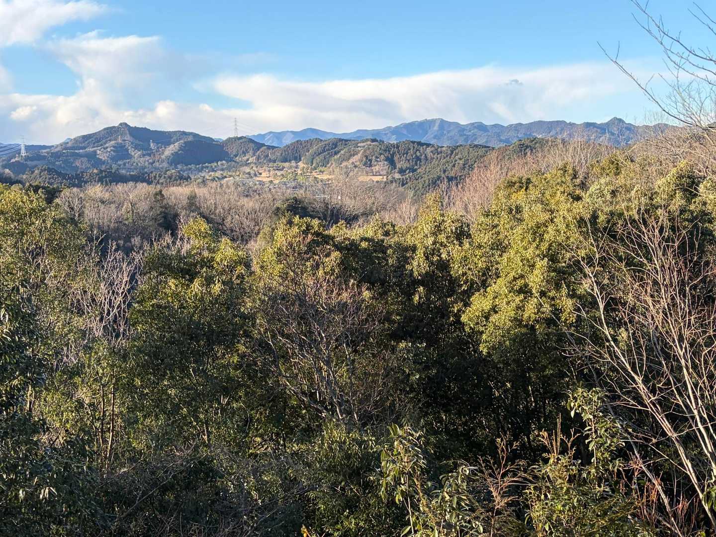 柏木山 往復コースの写真