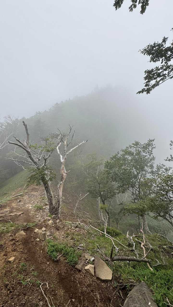 皇海山（鋸山周回）、日帰り最難関 の写真 17