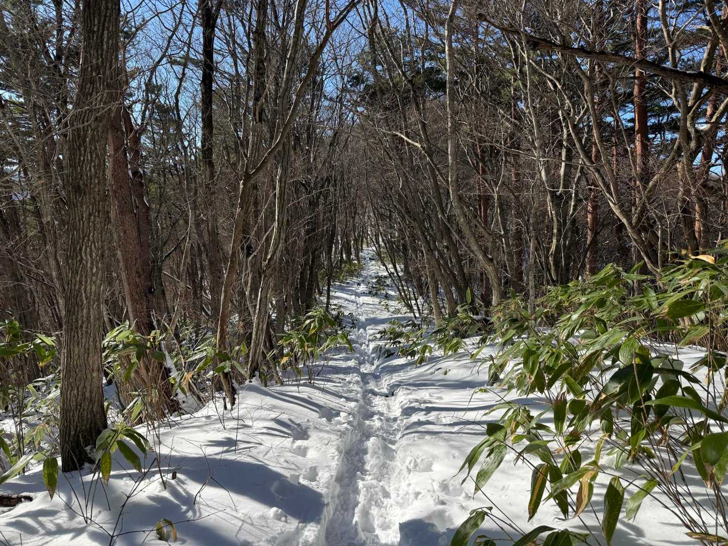 しっかり雪道