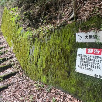 yamapの地図通り進んだら、登山口にこれました
この山はレジェンドしょーごさんのお庭なんだって。ご実家すぐ近く、一番登ってるお山が小無間山⛰️だそう。