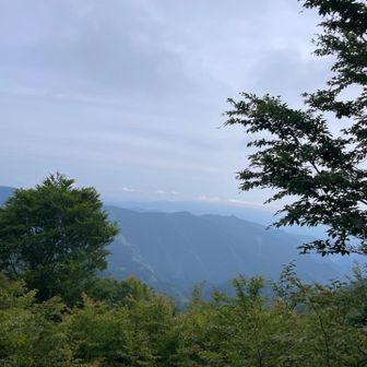 ちなみに池木屋山はガスガスで
雲が左から右へ流れて行くのが確認できた
