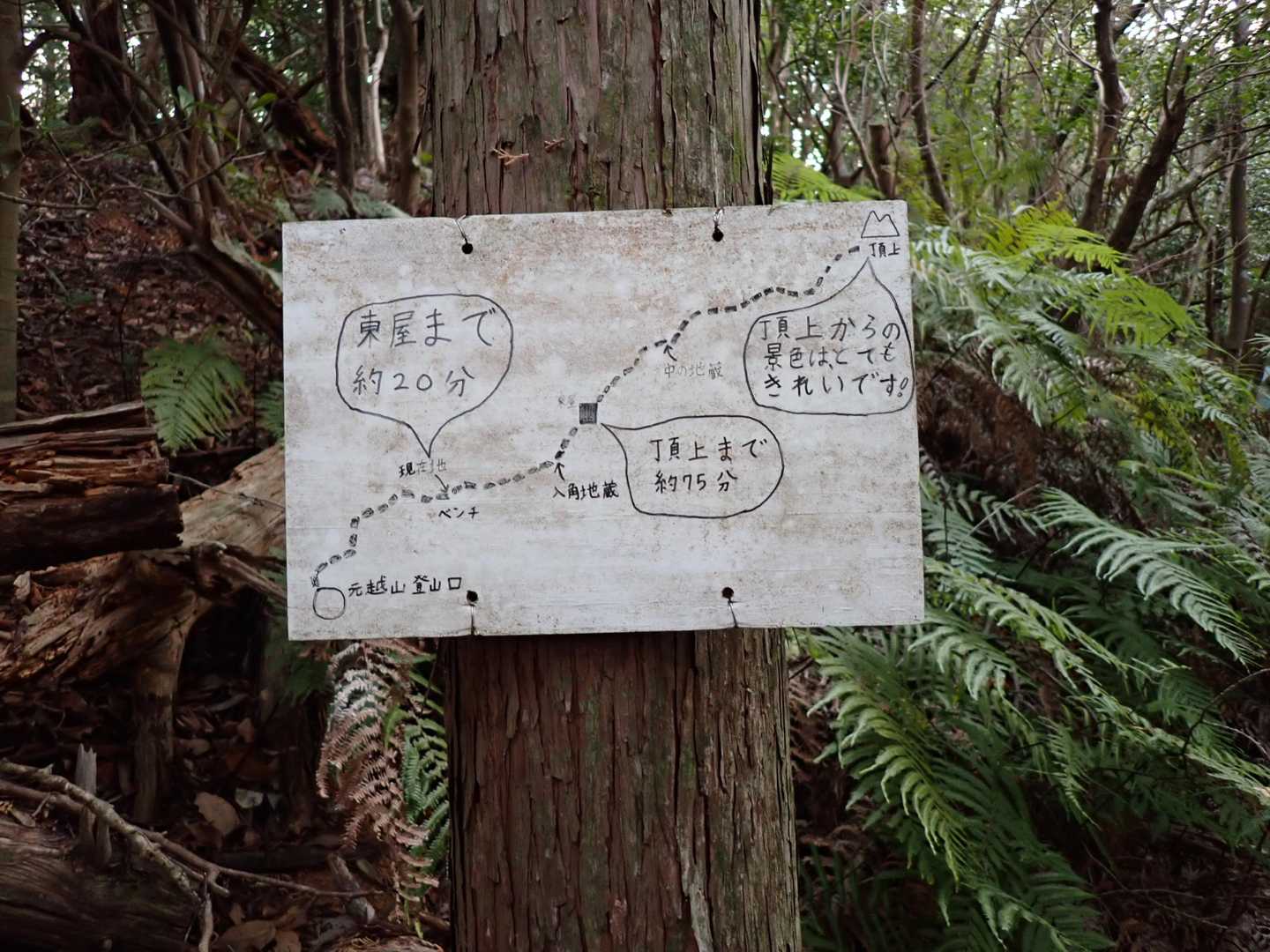 まだ先は遠い