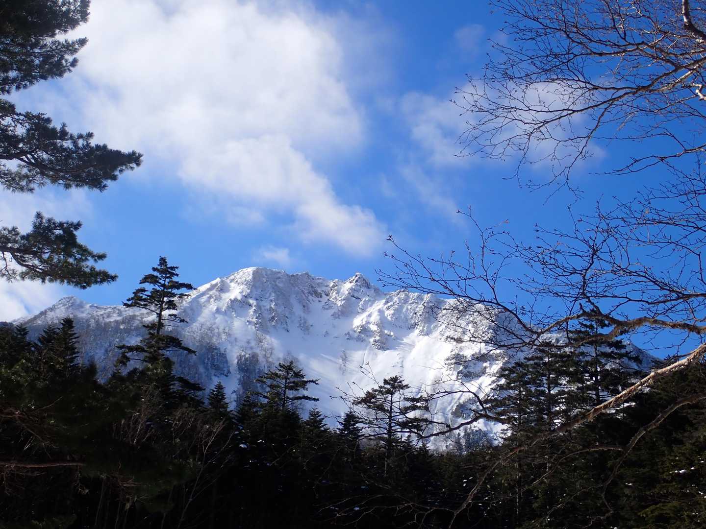 みどり池入口-夏沢峠-硫黄岳 往復コースの写真
