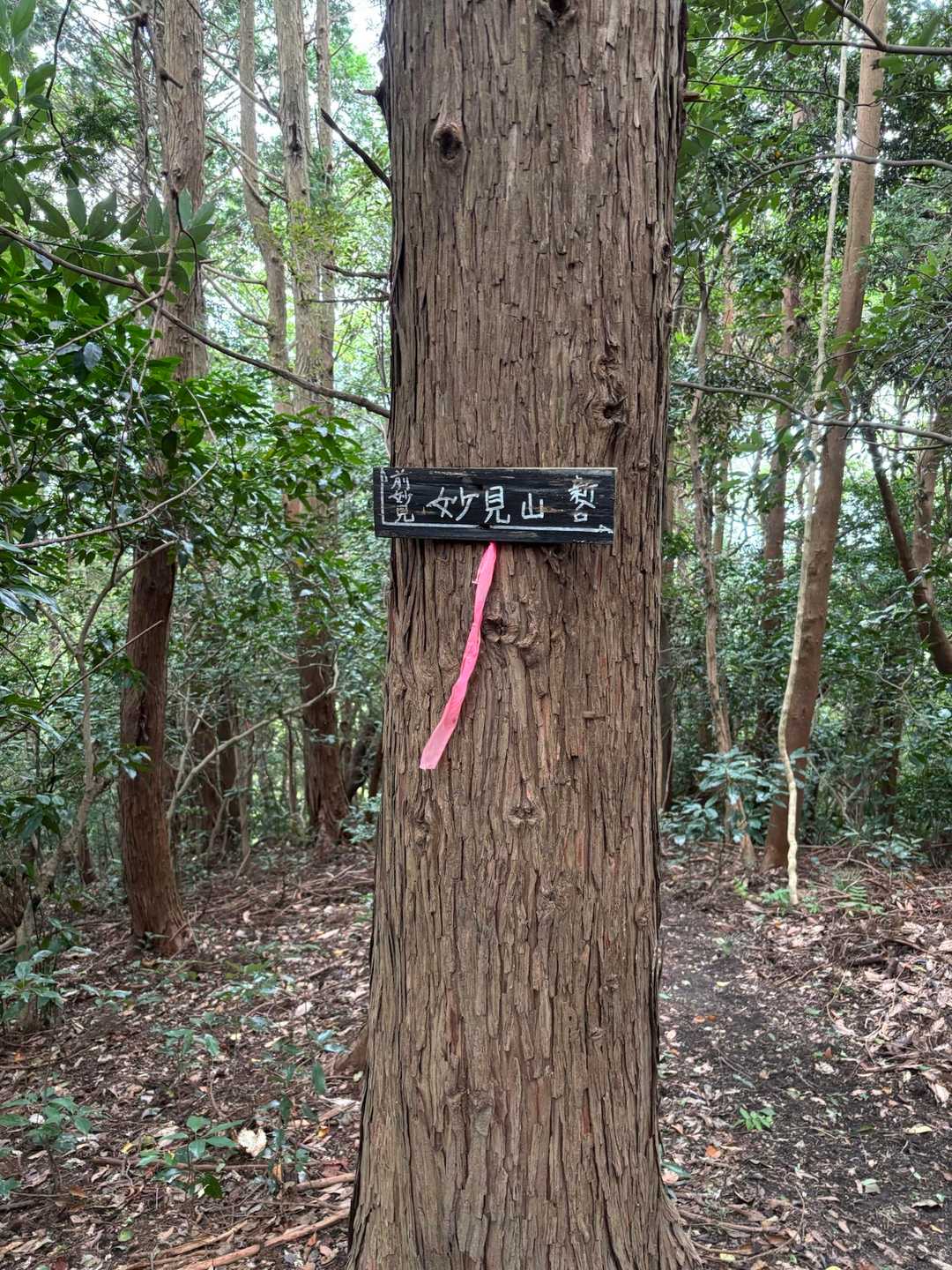 ▲妙見山