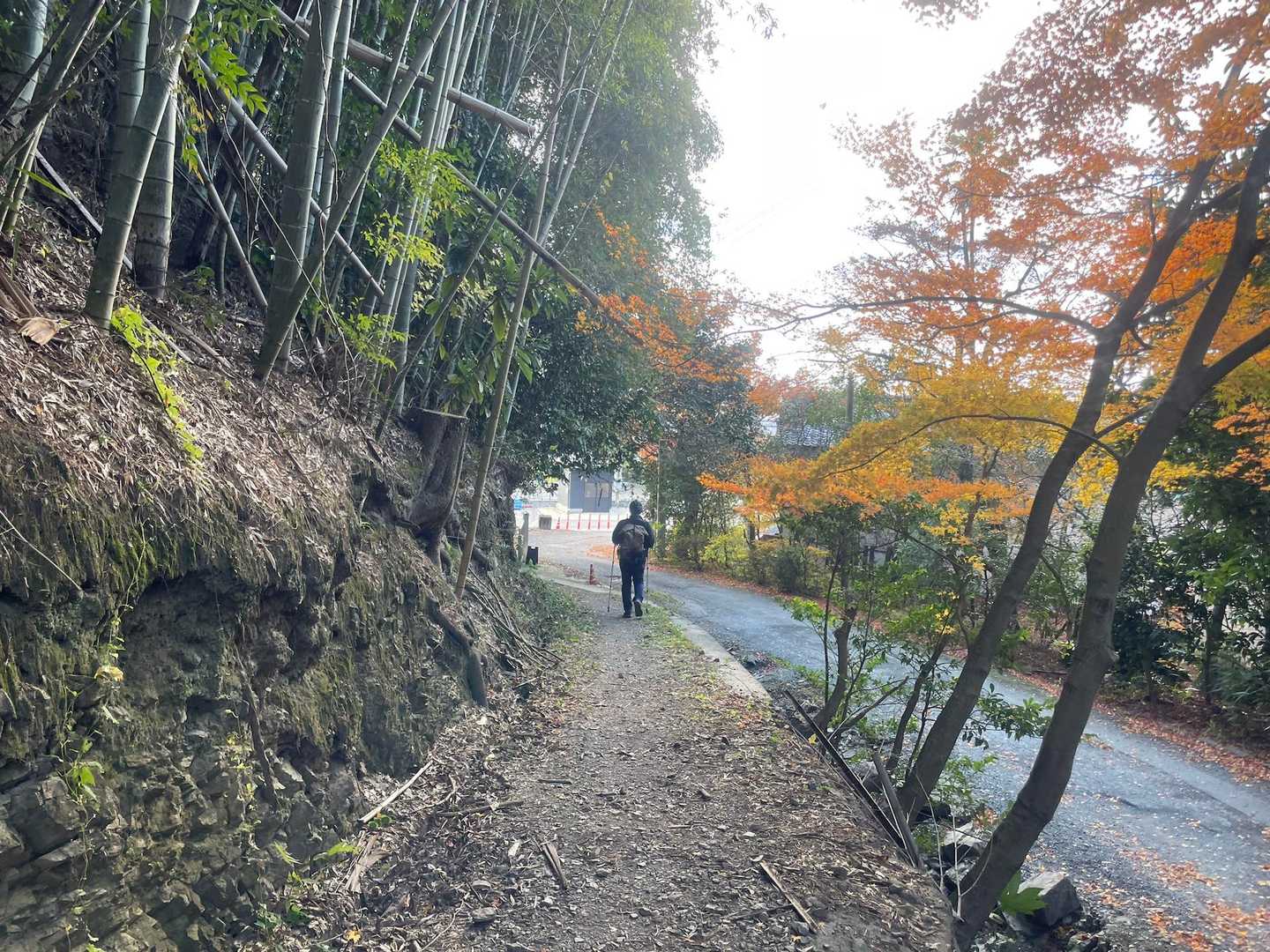 ここから道路歩き✨