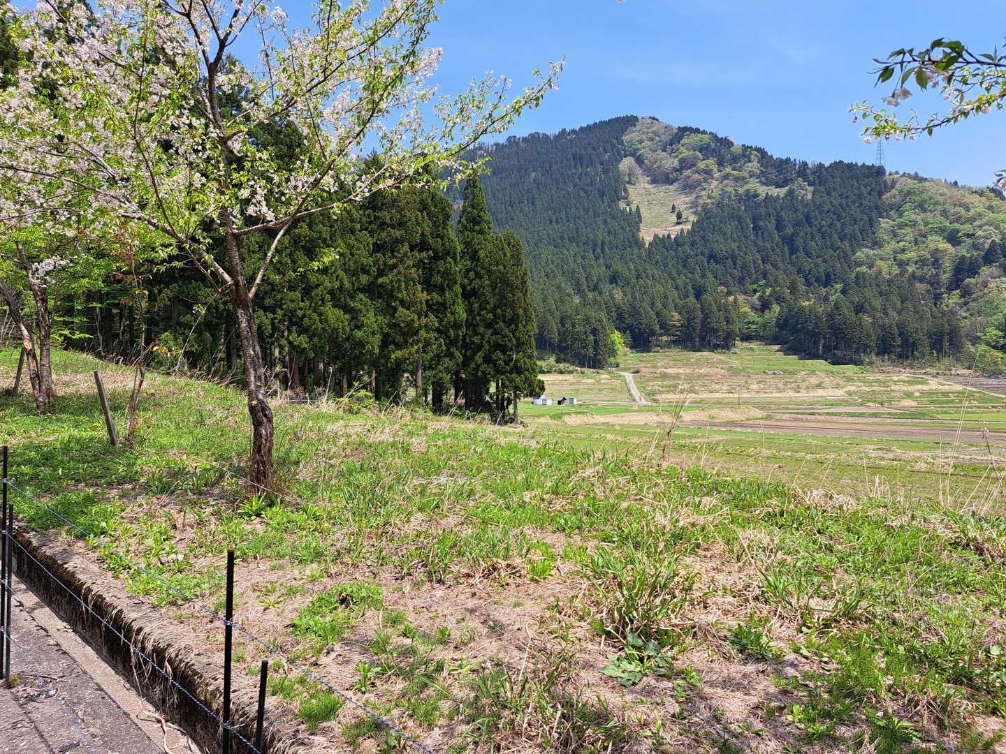 あれは六呂山かな