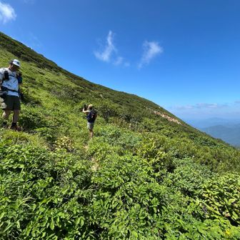 西峰登山道から本流に戻ってきました。
よく足元を見ればわかるけど西峰への入り口はわかりにくい。
