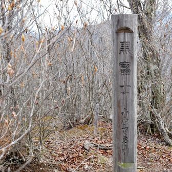 黒富士（くろふじ）
標高1,635m。山梨百名山と甲府名山に選定されています。富士山に似た端正な円錐形の山容を持ち、逆光時に黒いシルエットとして見えることが名前の由来です。約100万年前に活動した黒富士火山の主峰であり、山頂からは本家の富士山や南アルプスを一望できます。周辺の山々と組み合わせて歩かれることが多い、この山域の中心的存在です。
