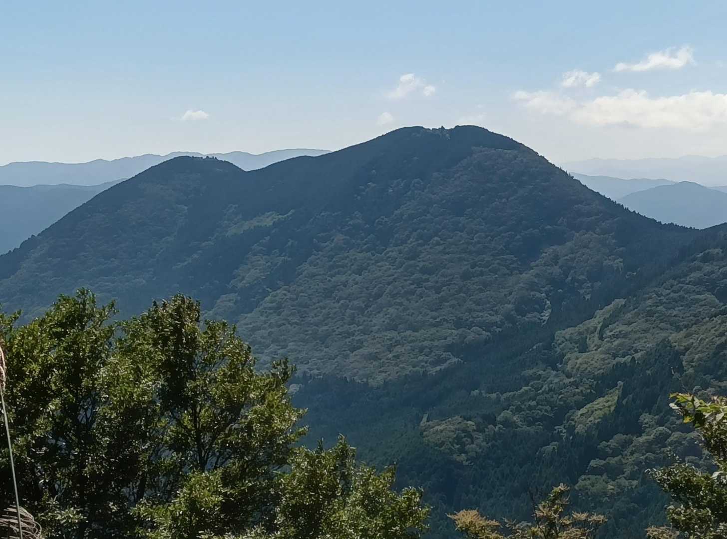 登山道より大洞山📷