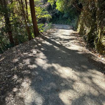 鴻ノ峰からの下山は途中からずっと舗装路。膝ガクでなければ、楽ちんだったはず。