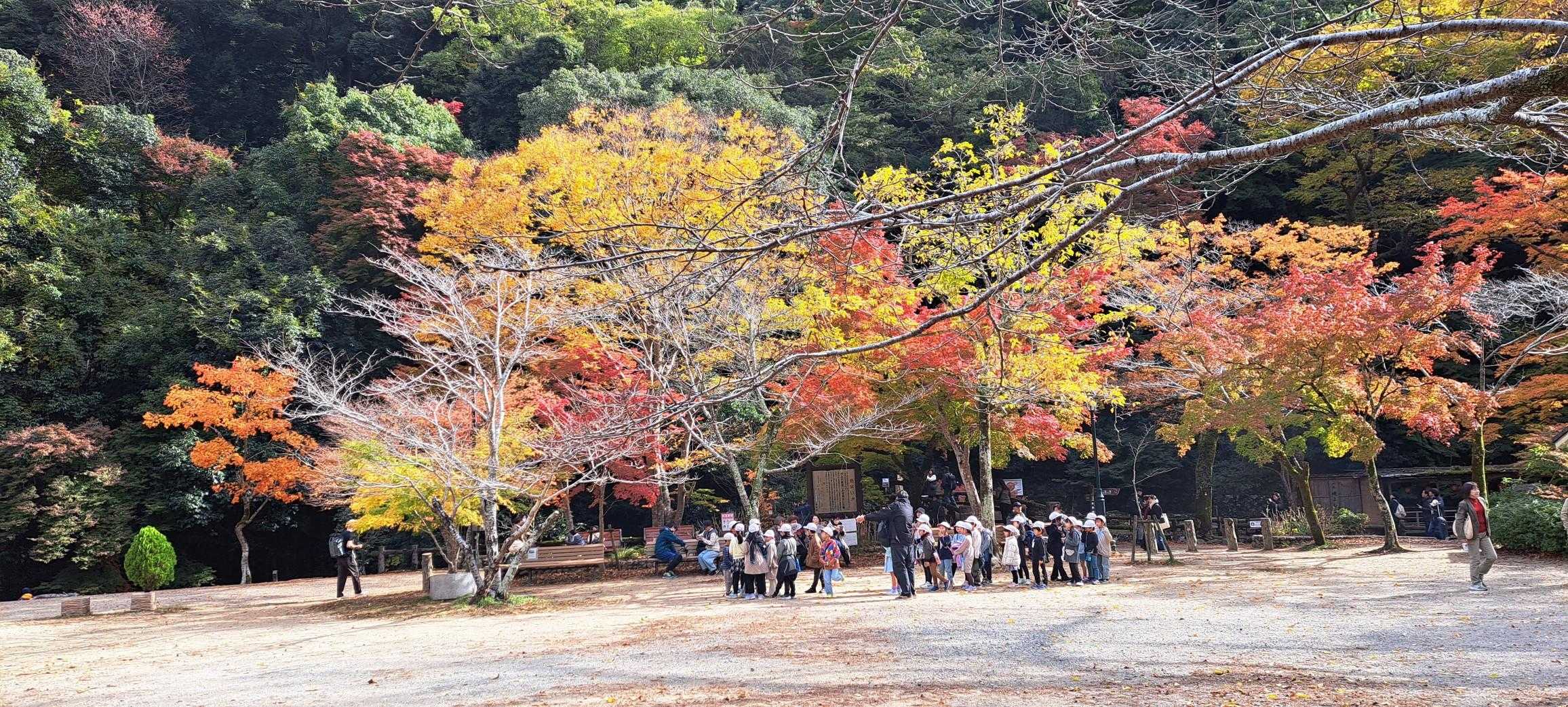 小学生
