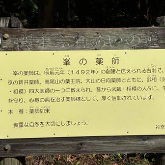 関東ふれあいの道で日向薬師・峯の薬師・高尾山薬王院を歩けます