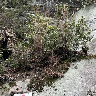 👩　月？🌕

👨‍🎤　鏡って書いとるやん！