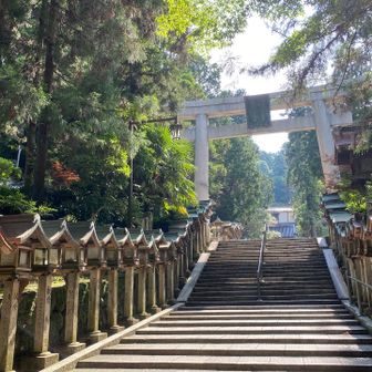 宝山寺の大鳥居