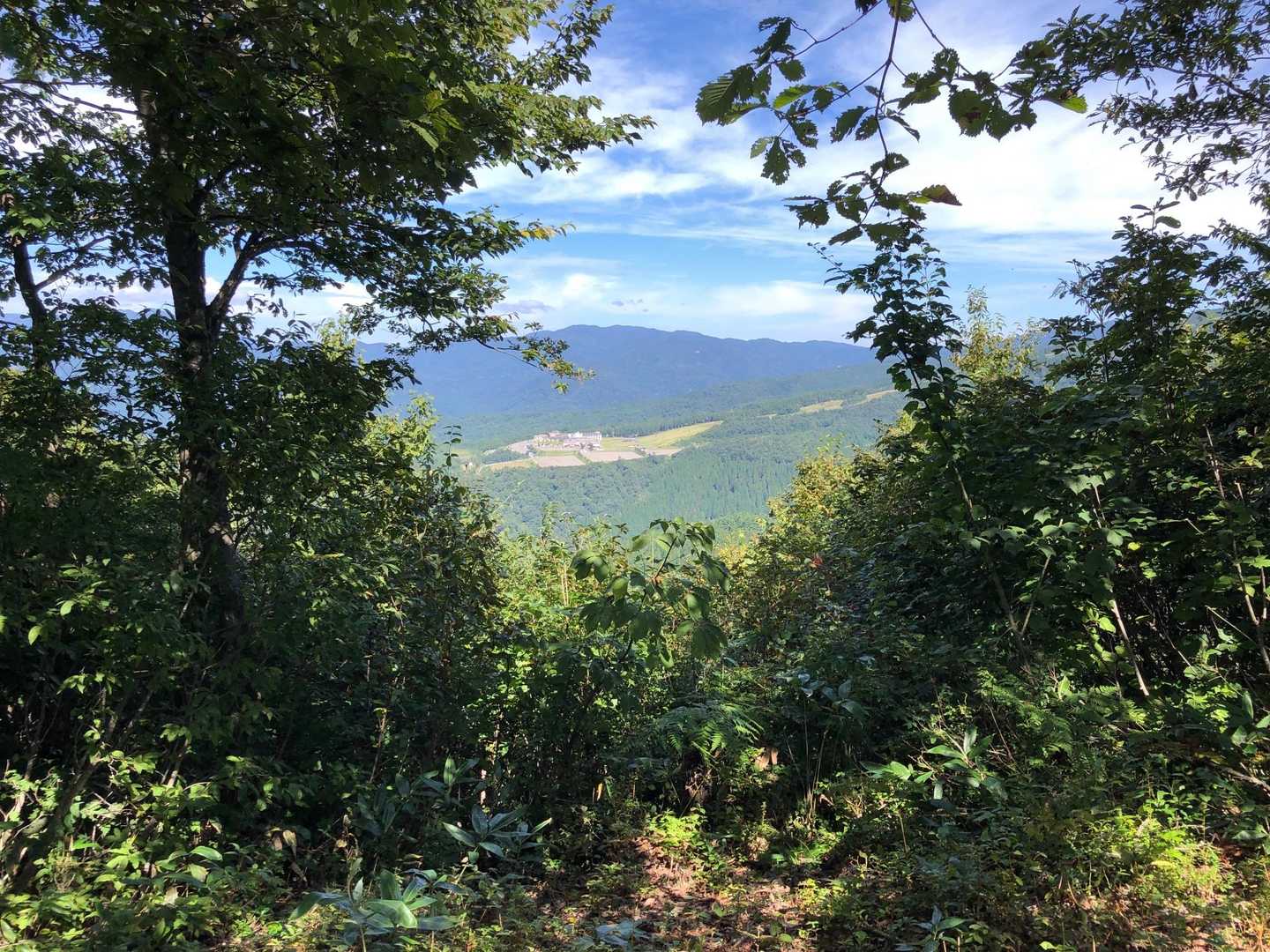 山頂からの法恩寺