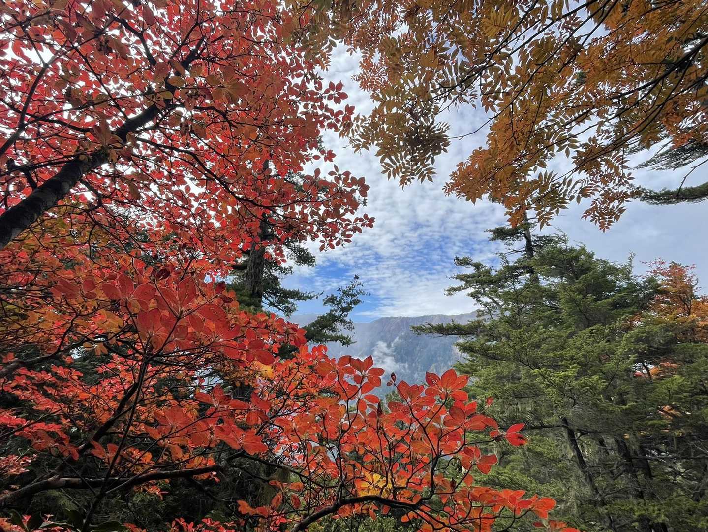 有明山神社-有明山-有明山神社奥宮 往復コースの写真