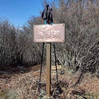 物住頭
西赤石に荷物を置いて
身軽で来ました　YAMAPは５０分と書いてますが　往復５０分くらいでした＾＾
