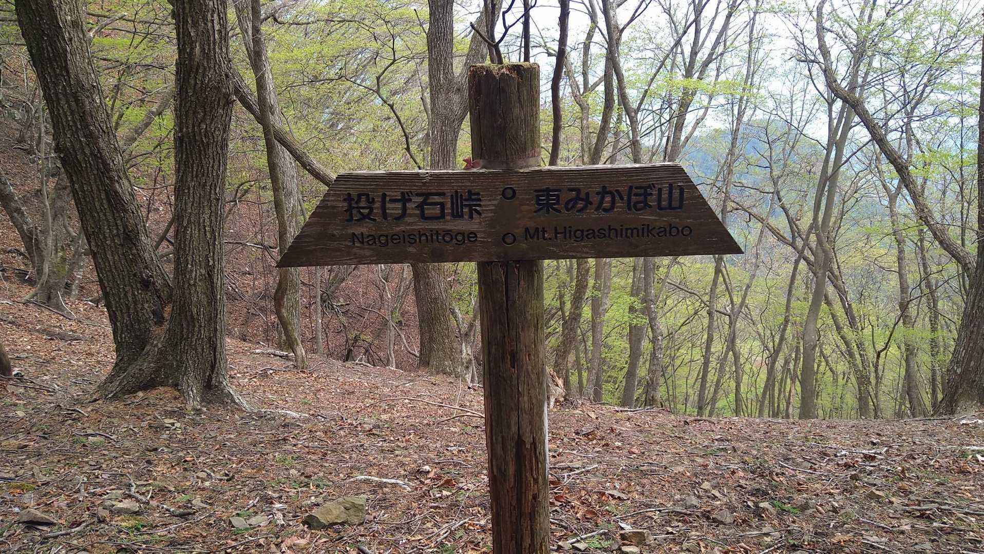 西御荷鉾山南登山口-御荷鉾山-投石峠-東御荷鉾山 周回コースの写真