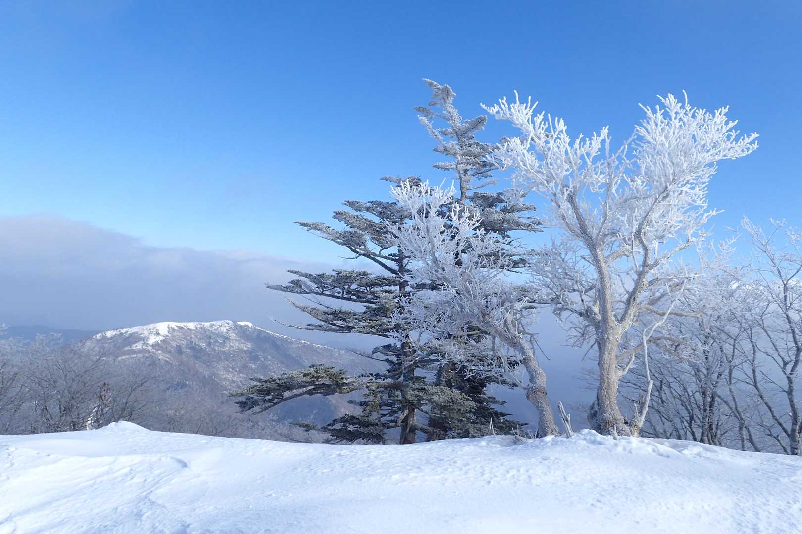 赤帽子山