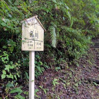 スタート地点を撮るの忘れた