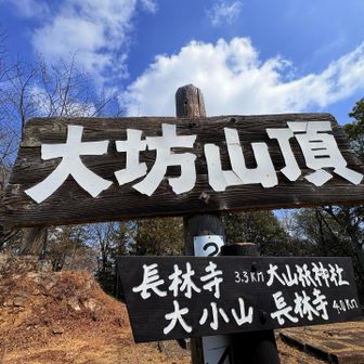 最後の山⑧のピーク