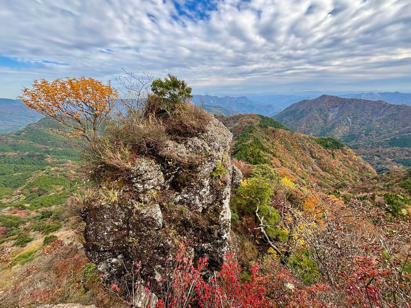 鷹巣山登山口-三ノ岳 周回コースの写真