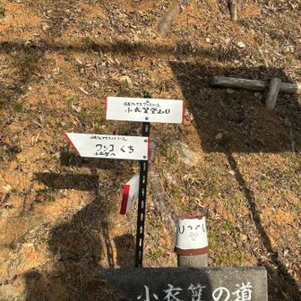 くちから描いてく