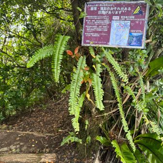 右周りの周回ルート。下山しながら次の山へ。