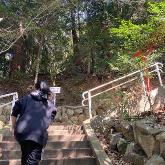 始めは後ろからついて行く♪