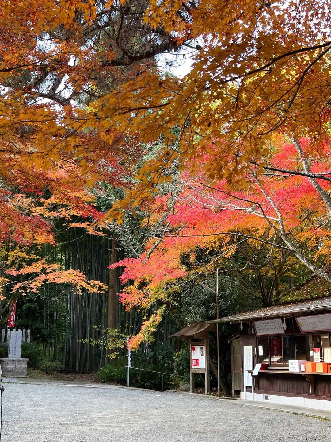 雁回山 周回コースの写真