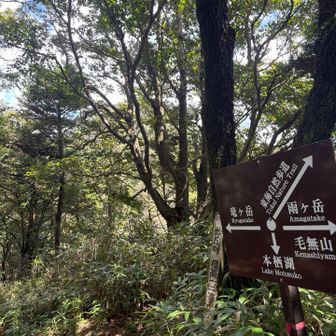 雨ヶ岳のときはもう一度、ここから登ったっけ