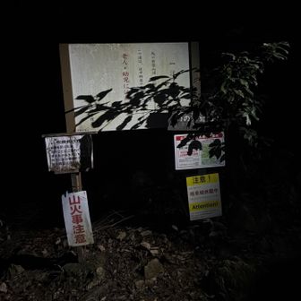 さて行こ　久しぶりの馬の背