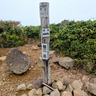 横岳山頂
ガスガスで何も見えない😢