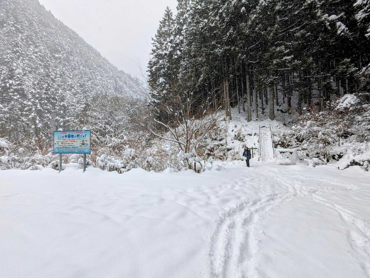林道終点の駐車場まで長っ😆