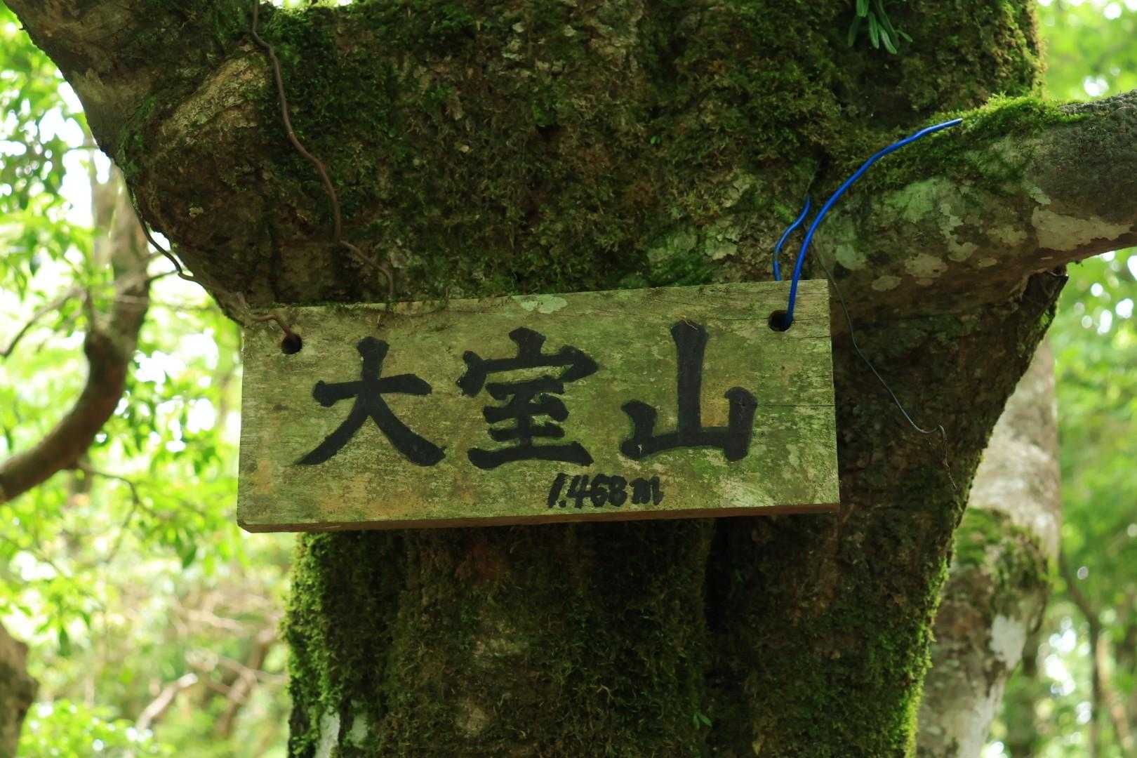 山頂
