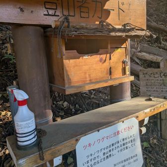 ヤマビル用の塩水が用意されてます！ ヤマビルの時期は絶対行かないけど！