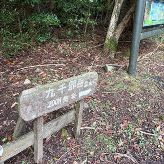 雨の心配はなくなりました