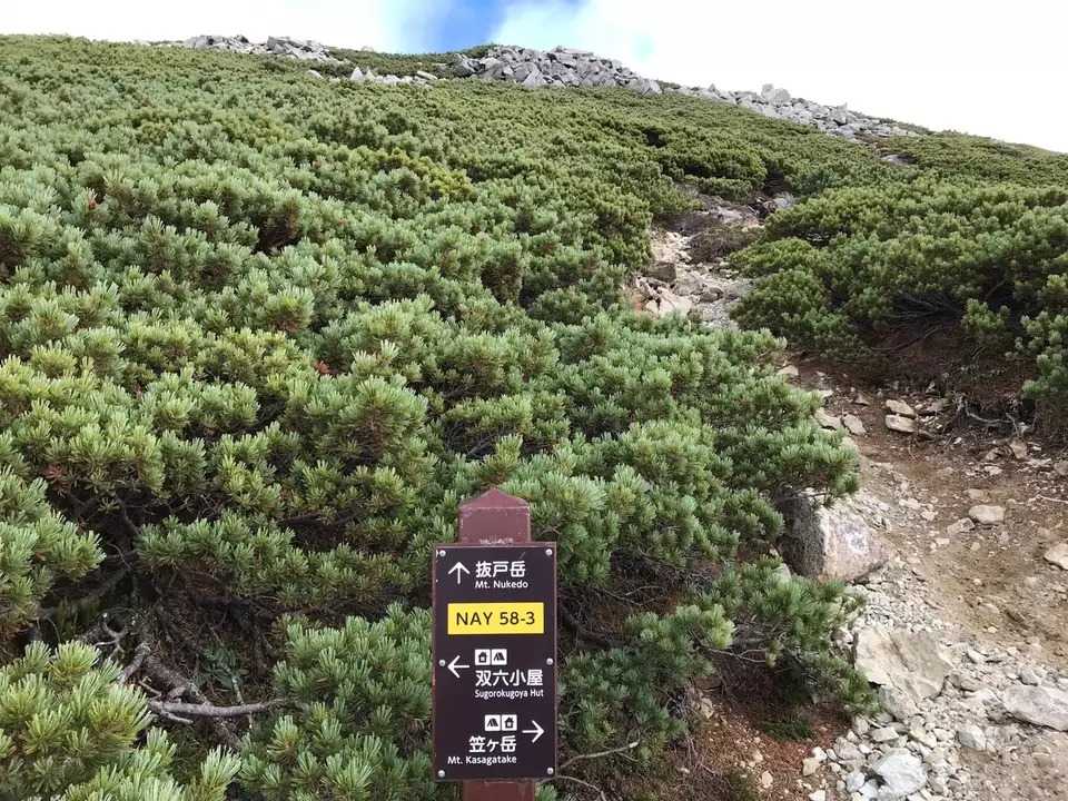 抜戸岳の写真