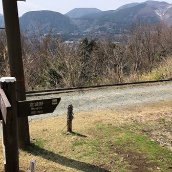 登山口に出てきました。
宮ノ下駅に歩いて向かいます。（50 分/3.4km）
歩道のない国道135号を歩くので、車🚗に注意が必要です。