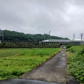 新幹線がよく見えるエリアからのスタート