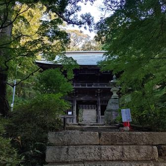 薬王院門毎回見ますが立派です