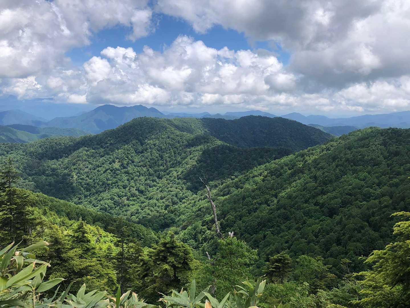 猿倉登山口-田代山 往復コースの写真
