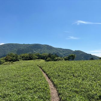 一本道。登りきった辺り。