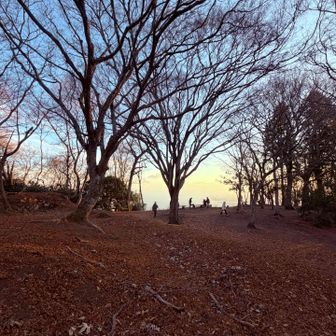 　　今年も〜　いつもの木🪾
　　たくさんの人　🤗