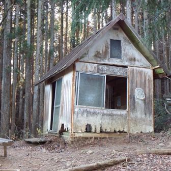 ほとんど見晴らせなくなった見晴らし小屋