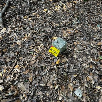 御別館山。10ピーク目